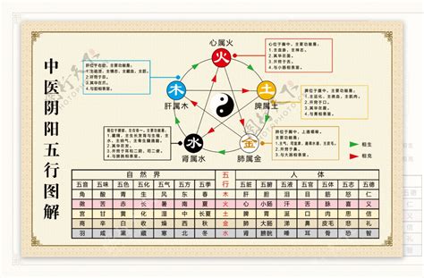 宗 五行|宗的五行